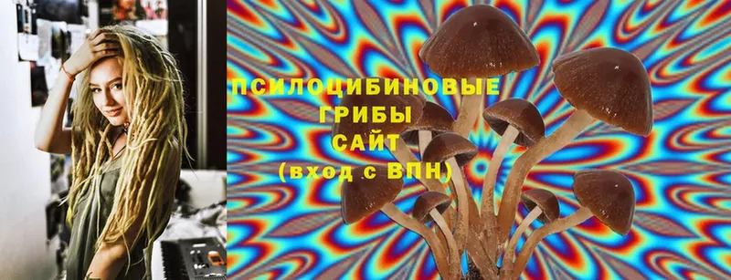 Галлюциногенные грибы Magic Shrooms  цена наркотик  Балашов 